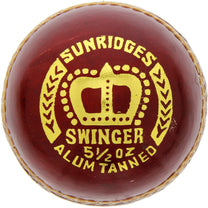 SS Cricket Ball Swinger 10030019