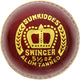 SS Cricket Ball Swinger 10030019