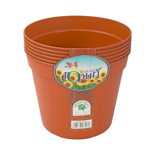 Green Leaf Seed Pot 16cm 6pcs 6516 Assorted Colors
