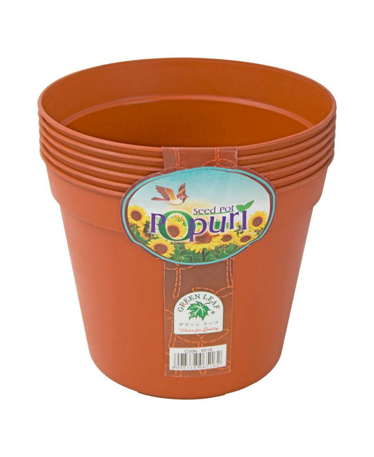 Green Leaf Seed Pot 16cm 6pcs 6516 Assorted Colors