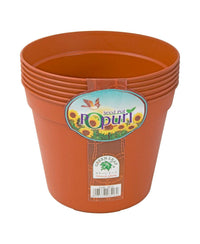Green Leaf Seed Pot 16cm 6pcs 6516 Assorted Colors