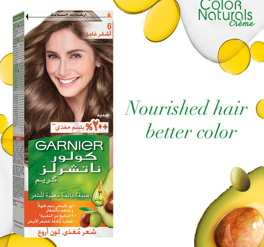 Garnier Color Naturals 6 Dark Blonde 1 pkt
