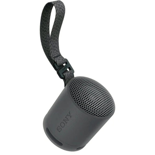 Sony SRS-XB100 Portable Wireless Speaker Black