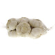 Garlic Pure White China Small 1 pkt