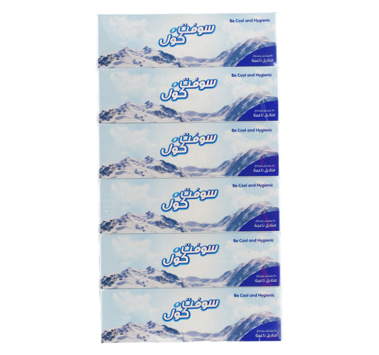 Soft N Cool Soft Facial Tissue 2 Ply 6 x 150 Sheets