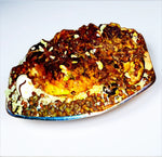 LU-Lamb Plates Shefs