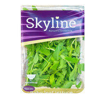 صاروخ يغادر إيطاليا عبوة واحدة