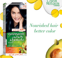 Garnier Color Naturals 2.10 Blue Black 1 pkt