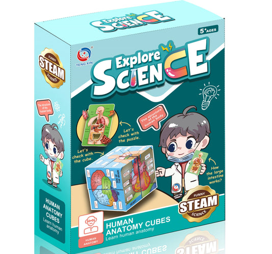 Teng Xin Explore Science Human Anatomy Cubes, TXL-118