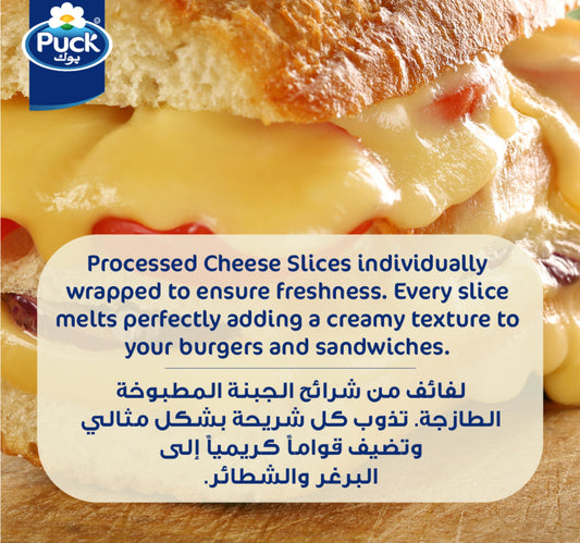 Puck Cheese 10 Slices 200 g