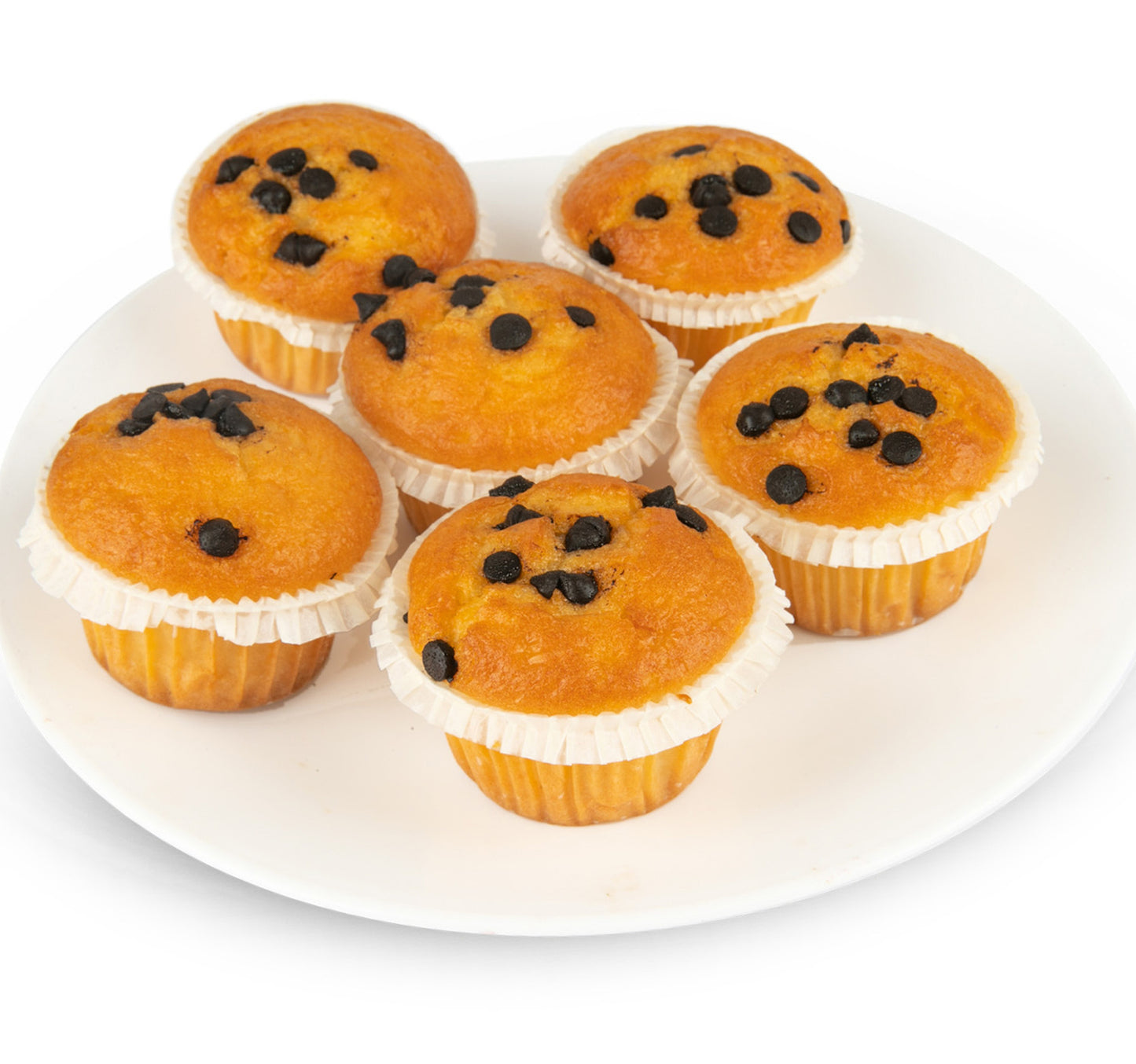 Choco Chip Muffin 6 pcs