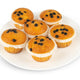 Choco Chip Muffin 6 pcs