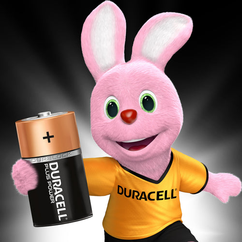 Duracell Plus Power Type D Alkaline Batteries 2pcs