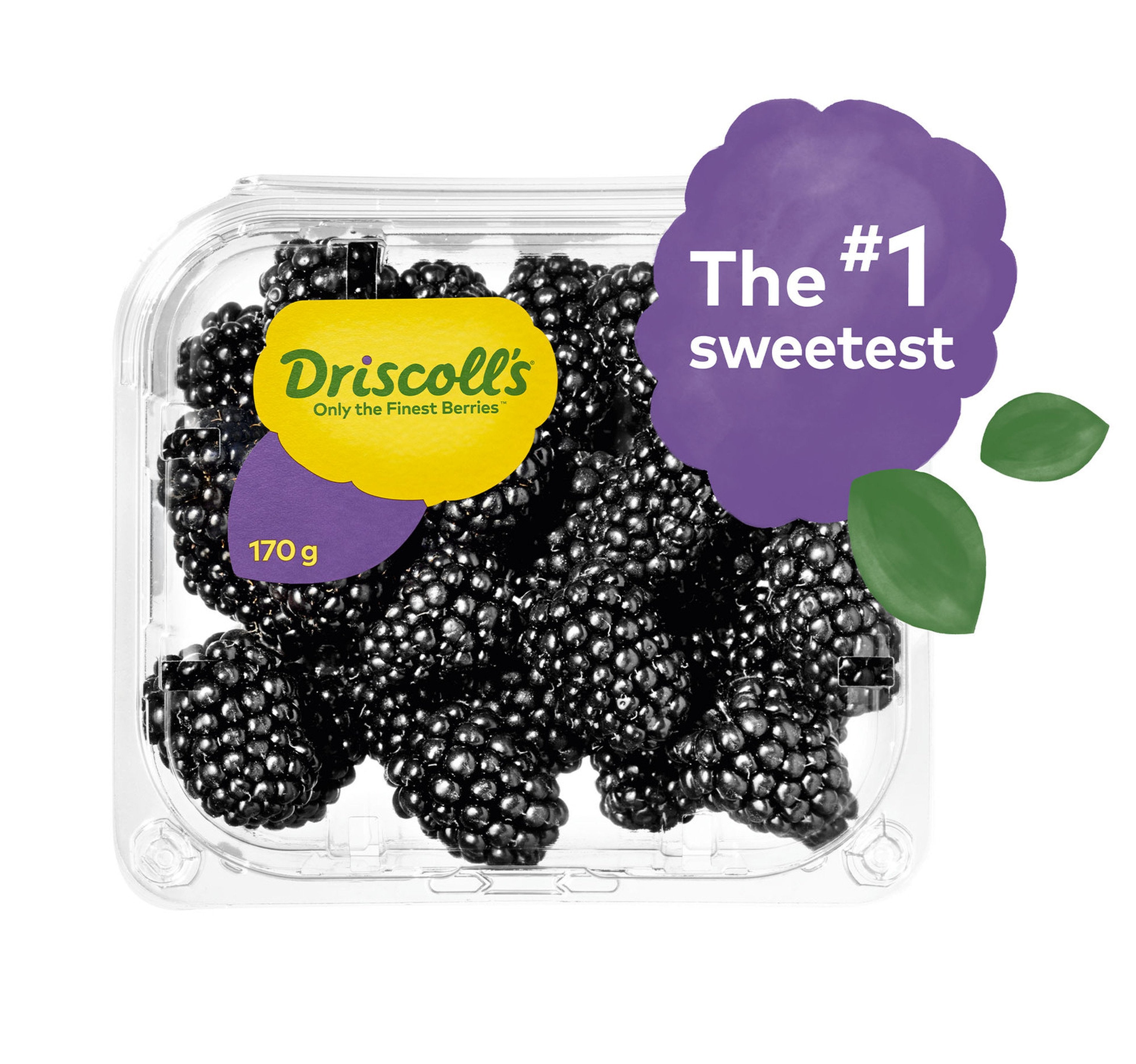 Blackberry 170 g