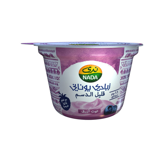 Nada Greek Yoghurt Blueberry Low Fat 160 g