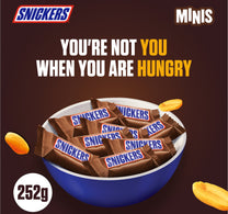 Snickers Minis Chocolate Pouch 14 pcs 252 g