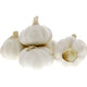Garlic Pure White China Big 1 pkt