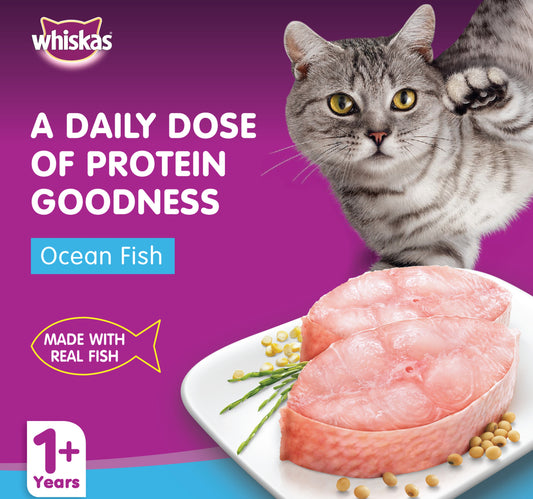 Whiskas Wet Cat Food Ocean Fish for Adult Cats 1+ Years 80 g