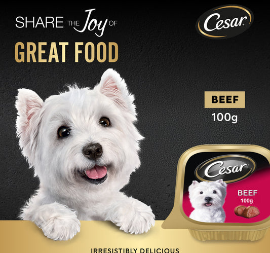 Cesar Beef Dog Wet Food 100 g