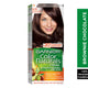 Garnier Color Naturals Creme Nourishing 4.15 Brownie Chocolate 1 pkt