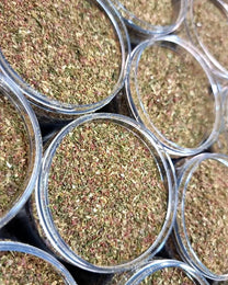 Shefs-All Spice Blends Shefs