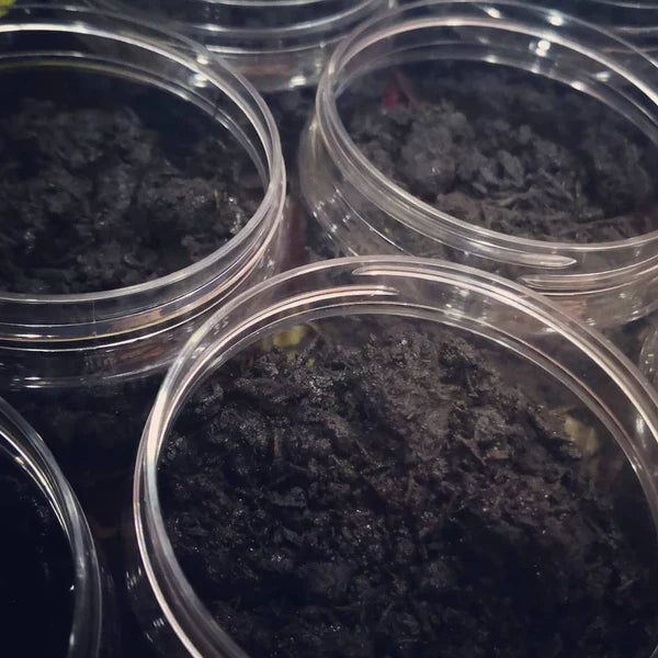 جميع أنواع البخور واللبان