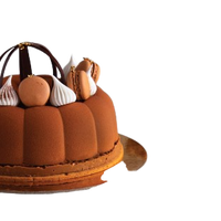 Specialty Cake Lily's Cupcake