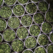 Shefs-All Spice Blends Shefs