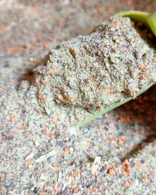 Shefs-All Spice Blends Shefs