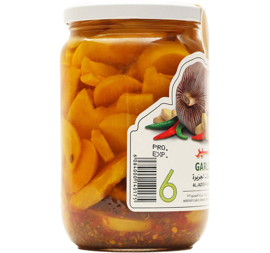 Al Jazeera Garlic Pickle 750 g