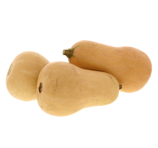 Butternut Pumpkin 1.5 kg