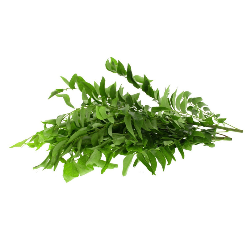 Curry Leaves India 1 bunch