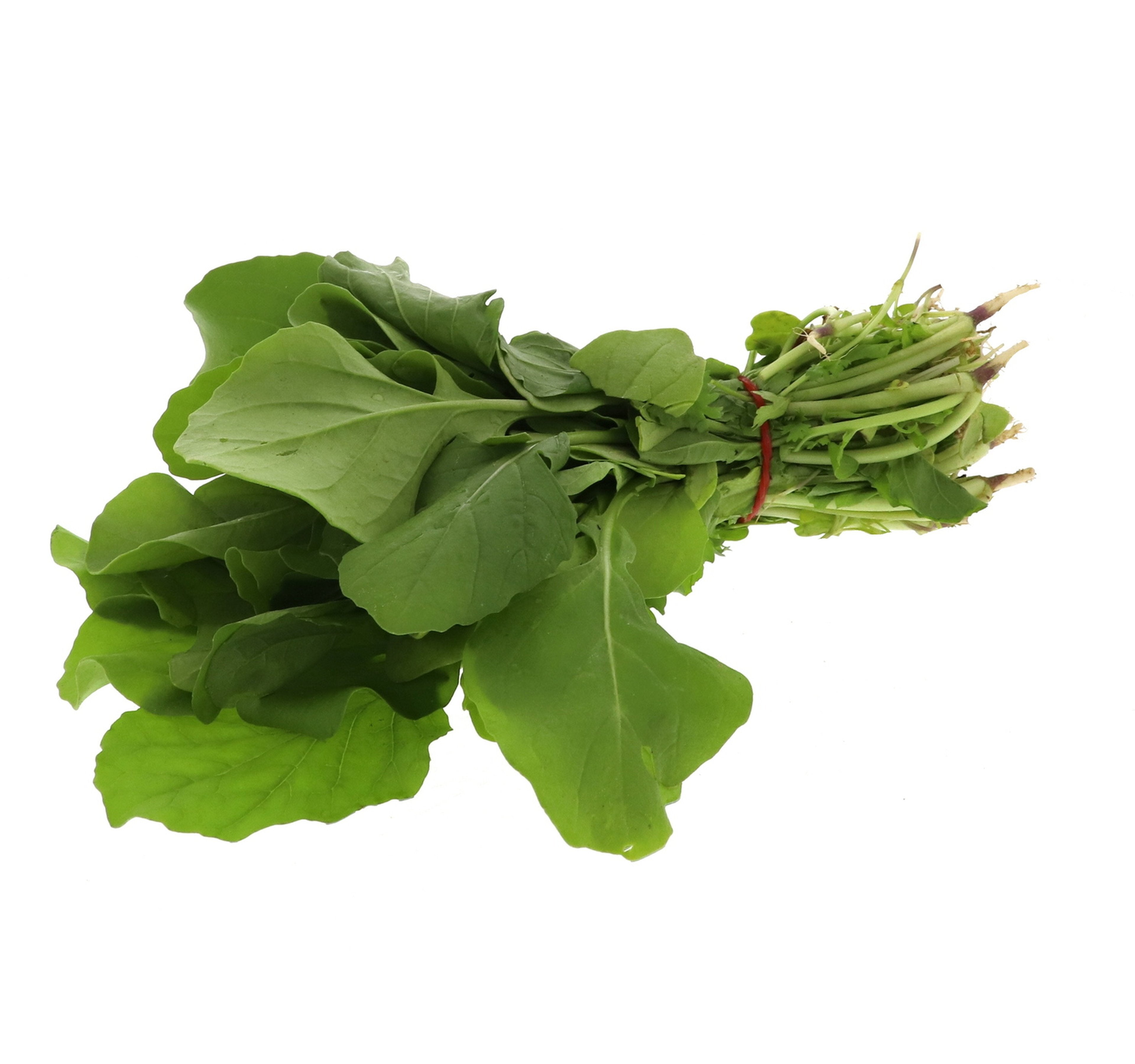 Gerger Leaves 1 Bunch
