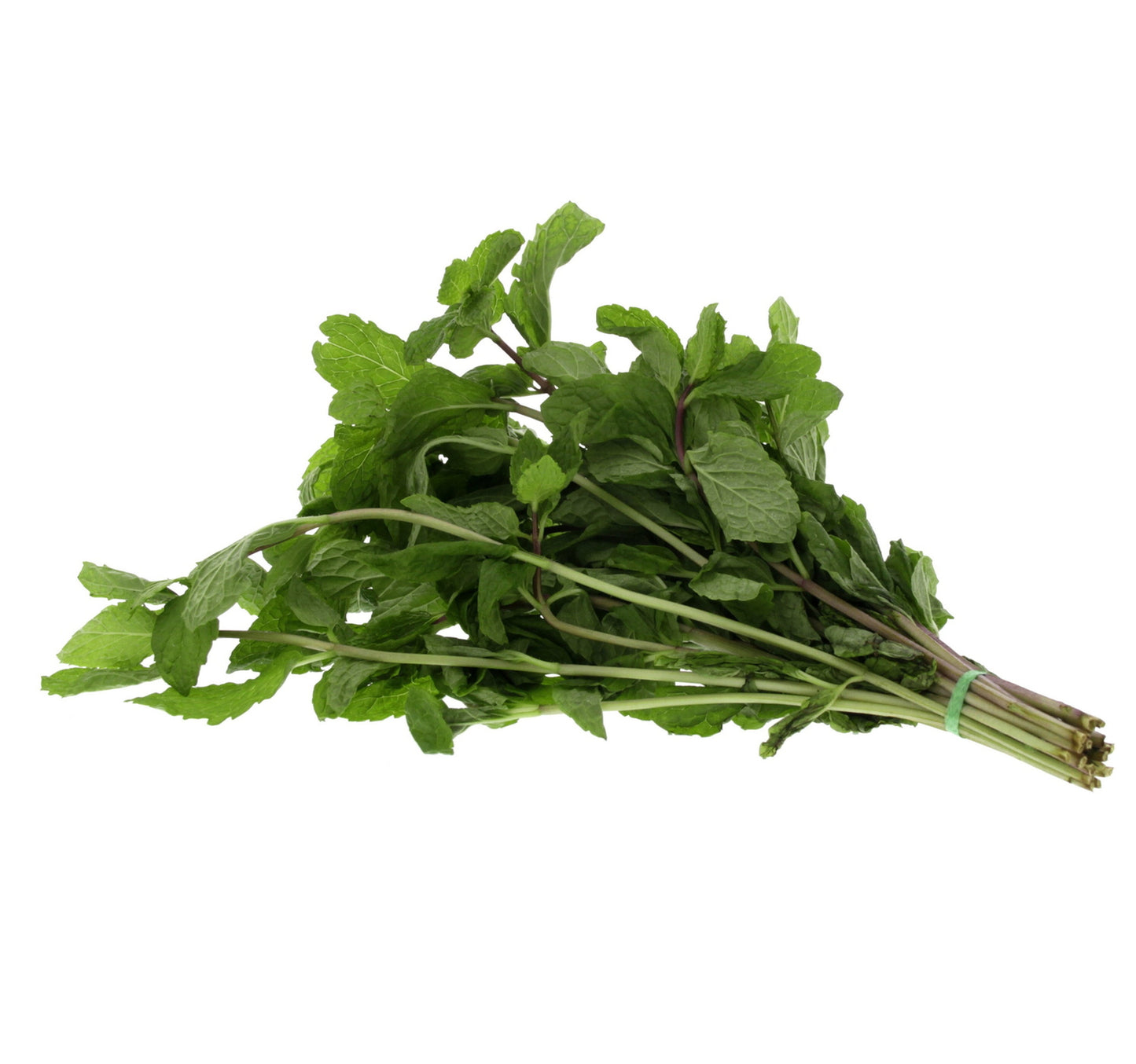 Mint Leaves 1 Bunch
