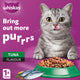 Whiskas Tuna Flavour Dry Food for Adult Cat 1+ Years 1.2 kg