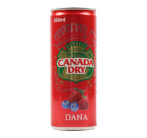 Canada Dry Dana 250 ml