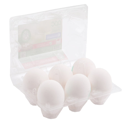 Bahrain Fresh White Egg 6 pcs