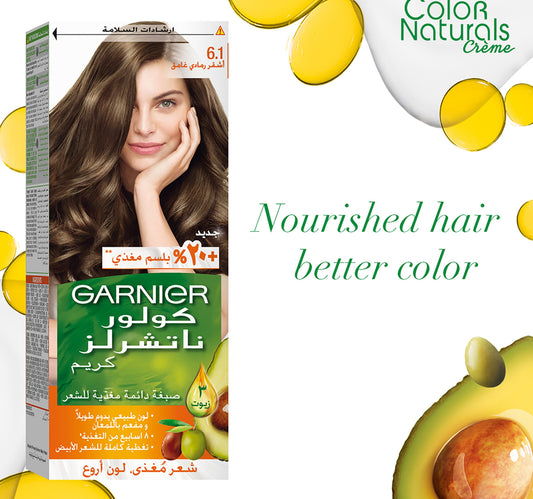 Garnier Color Naturals 6.11 Dark Ash Blonde 1 pkt