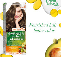 Garnier Color Naturals 6.11 Dark Ash Blonde 1 pkt