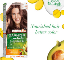 Garnier Color Naturals 6.7 Chocolate Brown 1 pkt