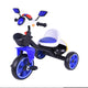 Skid Fusion Tricycle LY-2 Assorted Colors