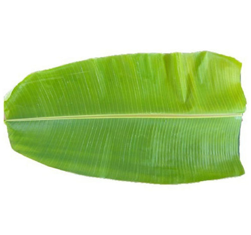 Banana Leaf India 1 pc