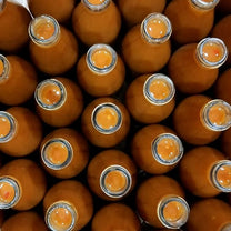 Indian Aloe Vera Paste