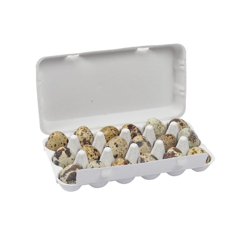 Wadi Quail Eggs 18 pcs