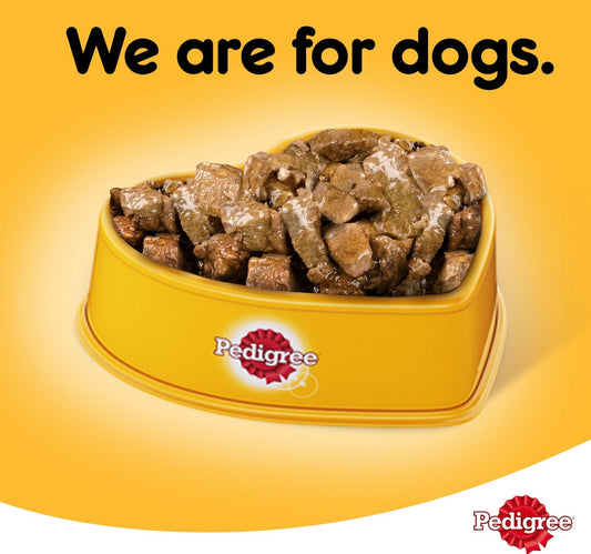 Pedigree Chicken Chunks in Gravy Wet Dog Food Can 400 g