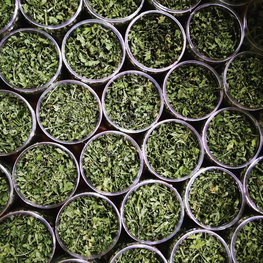 أوراق البقدونس المجففة