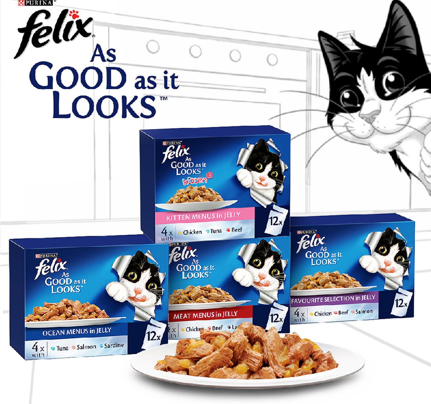 Purina Felix As Good As It Looks Delicious Favorite Selections In Jelly Cat Food ( Chicken Beef & Salmon ) 12 x 85 g