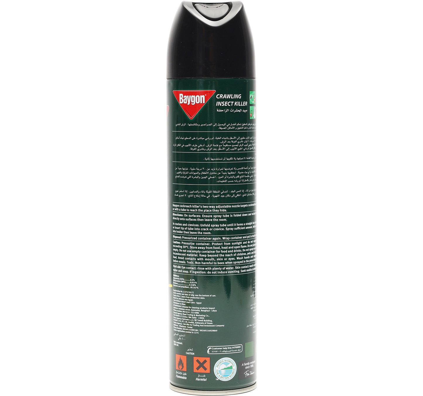 Baygon Crawling Insect Killer 2 x 400 ml
