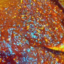 دقوس بحريني مفتوح