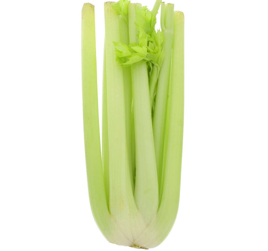Celery Spain 500 g